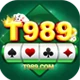 T989 game